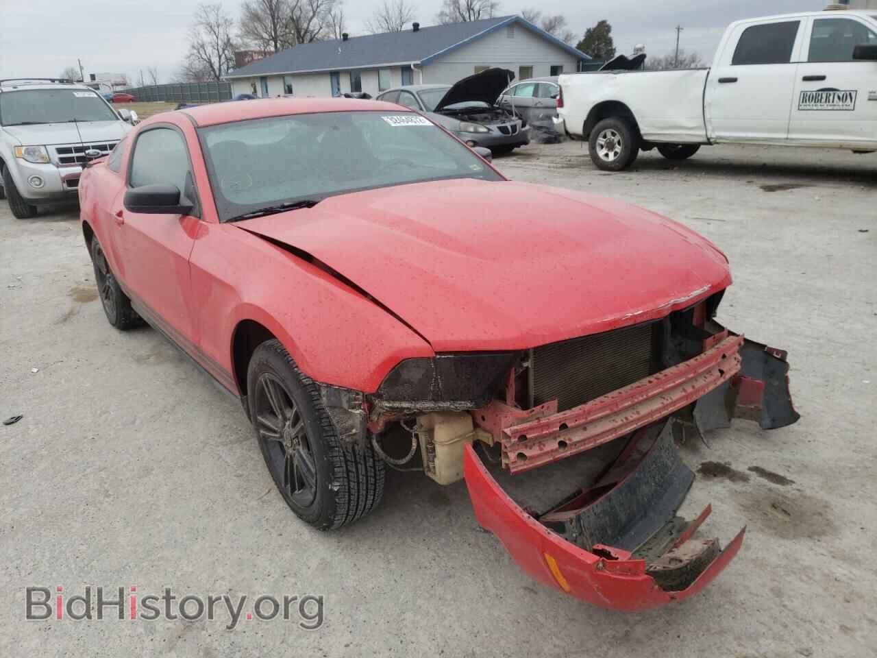Фотография 1ZVBP8AN8A5133345 - FORD MUSTANG 2010