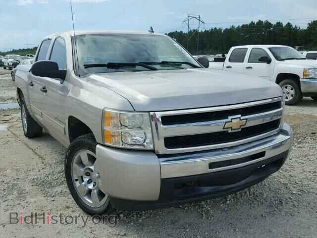 Photo 3GCEC13C49G256255 - CHEVROLET SILVERADO 2009