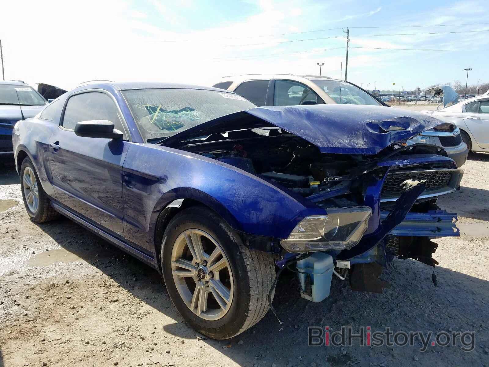 Photo 1ZVBP8AM2E5282542 - FORD MUSTANG 2014