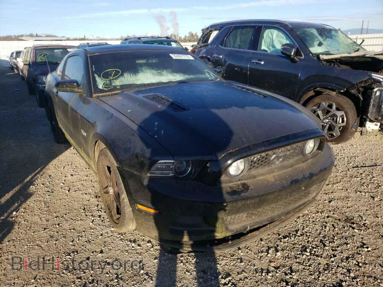 Фотография 1ZVBP8CF3D5275564 - FORD MUSTANG 2013