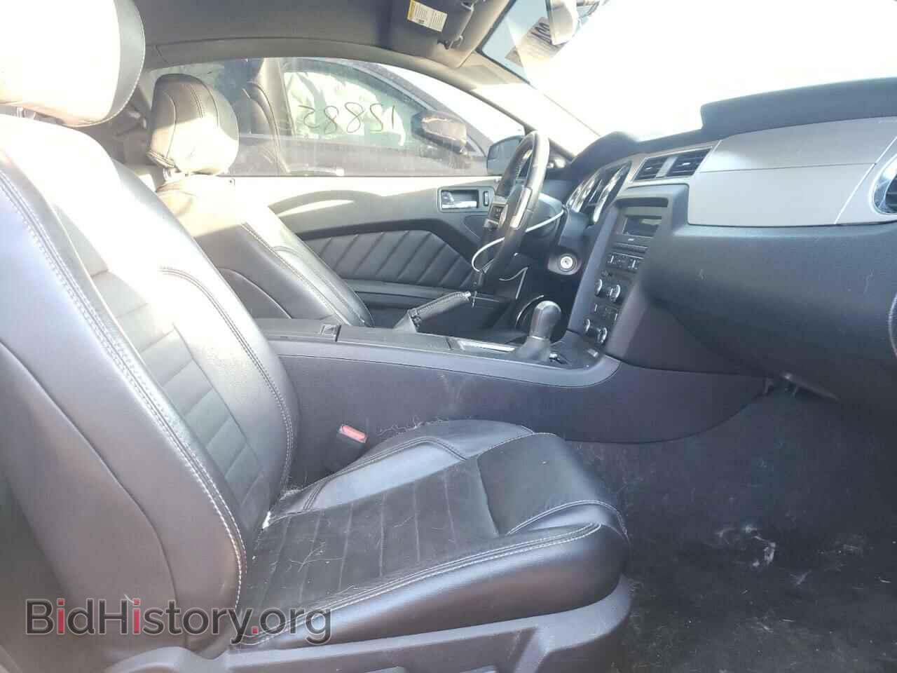 2013 FORD MUSTANG - VIN: 1ZVBP8CF3D5275564 - Фото 5