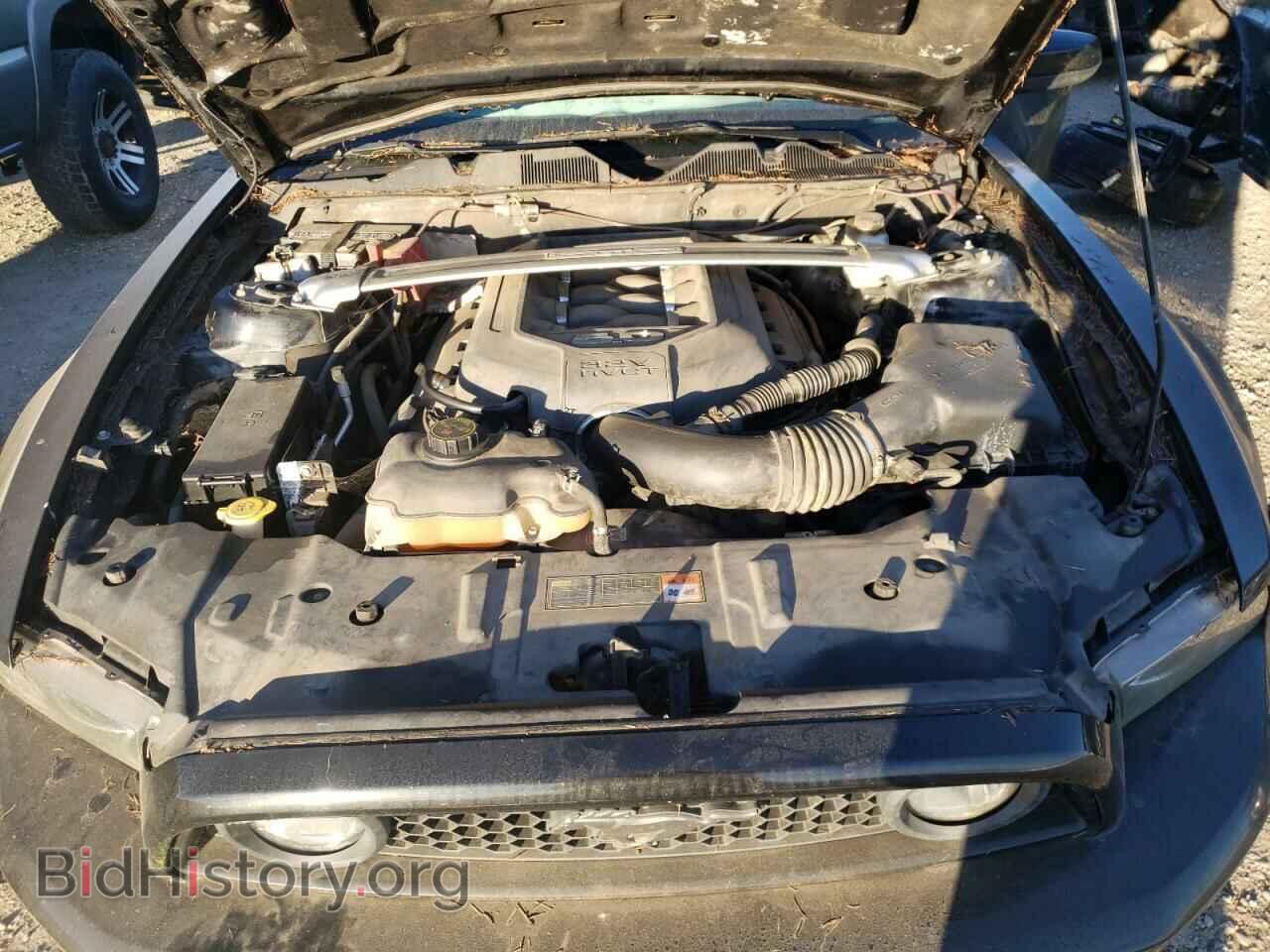 2013 FORD MUSTANG - VIN: 1ZVBP8CF3D5275564 - Фото 7