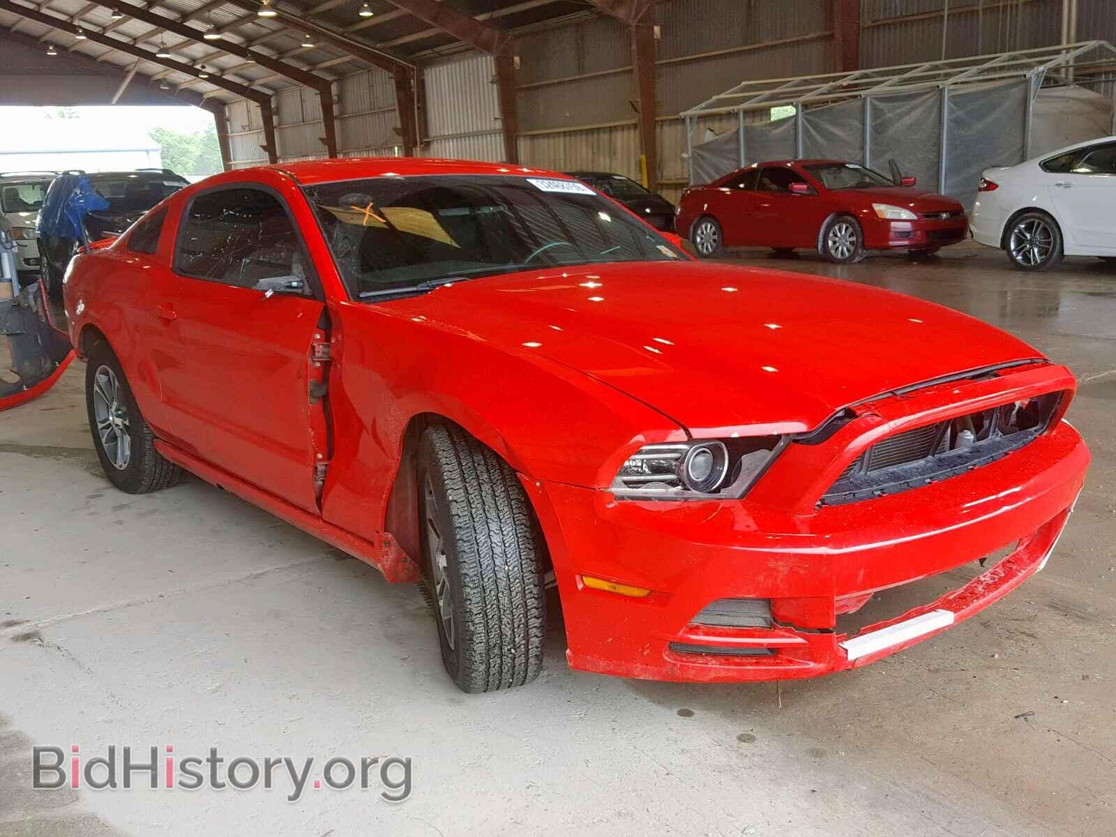 Фотография 1ZVBP8AM3E5201371 - FORD MUSTANG 2014