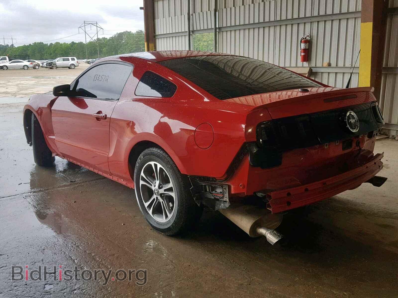 2014 FORD MUSTANG - VIN: 1ZVBP8AM3E5201371 - Фото 3