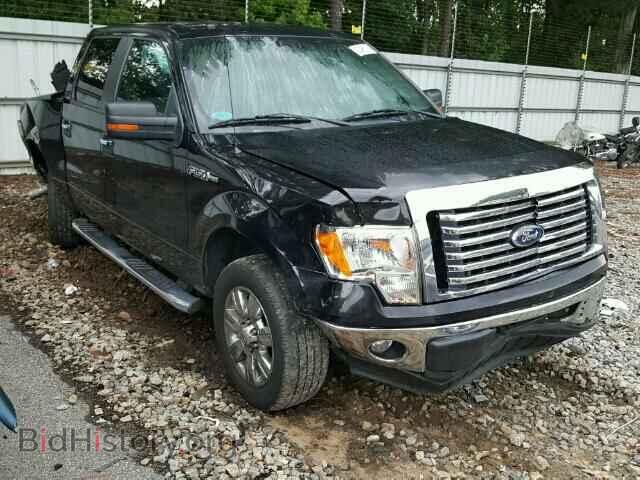 Фотография 1FTFW1CF4CFA34264 - FORD F150 2012