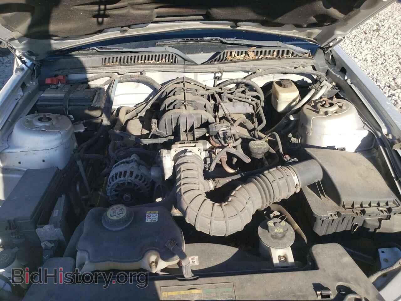 2008 FORD MUSTANG - VIN: 1ZVHT80N585109165 - Фото 7