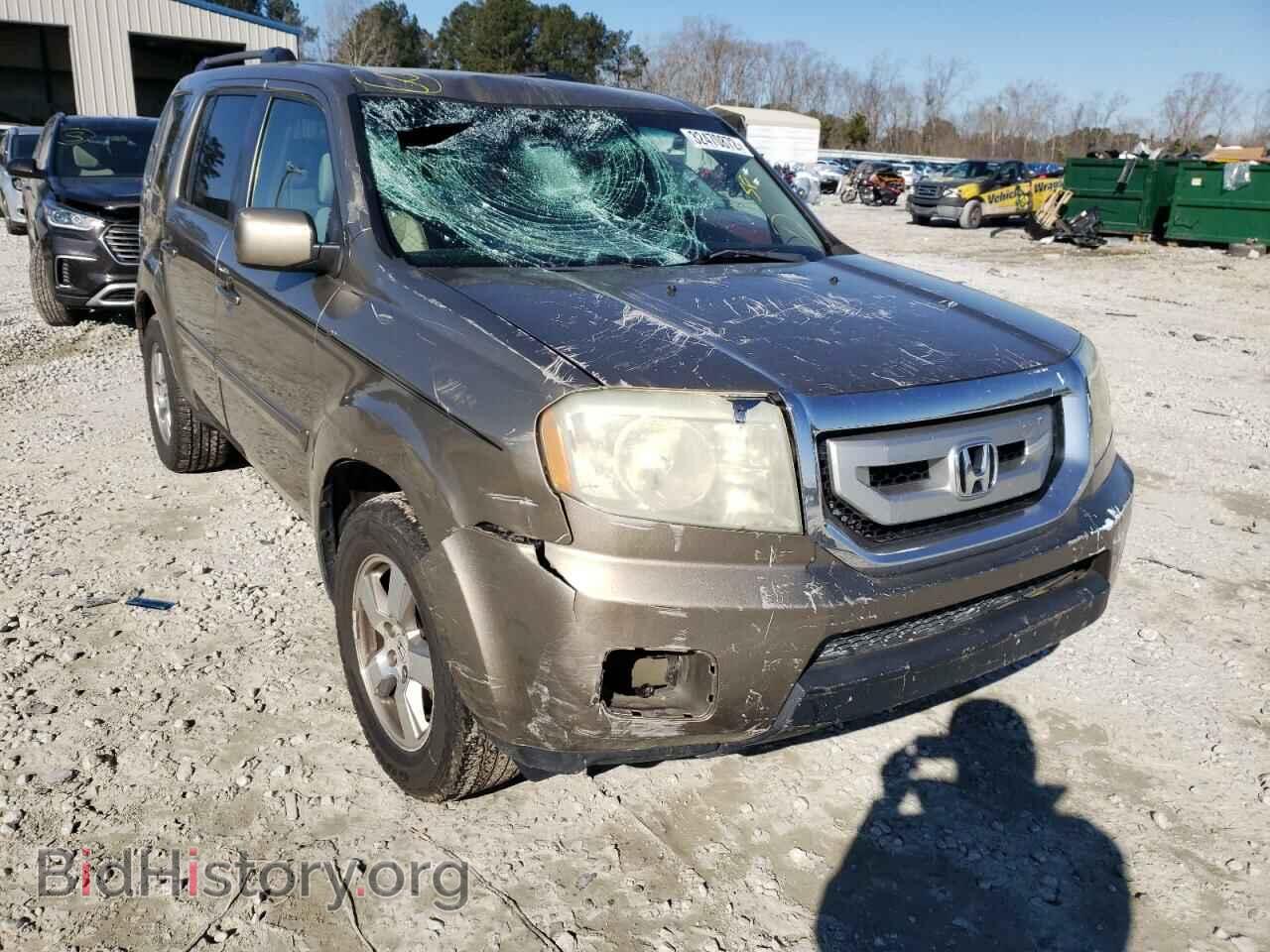 Photo 5FNYF3H4XBB006113 - HONDA PILOT 2011