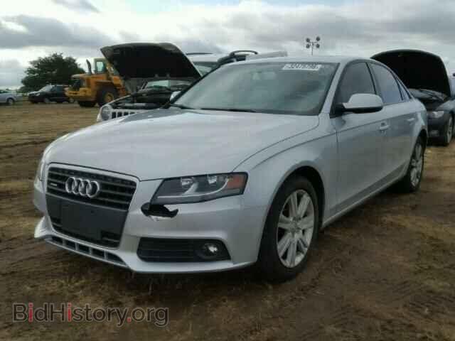 2010 AUDI A4 - VIN: WAUBFAFL6AN052572 - Фото 2