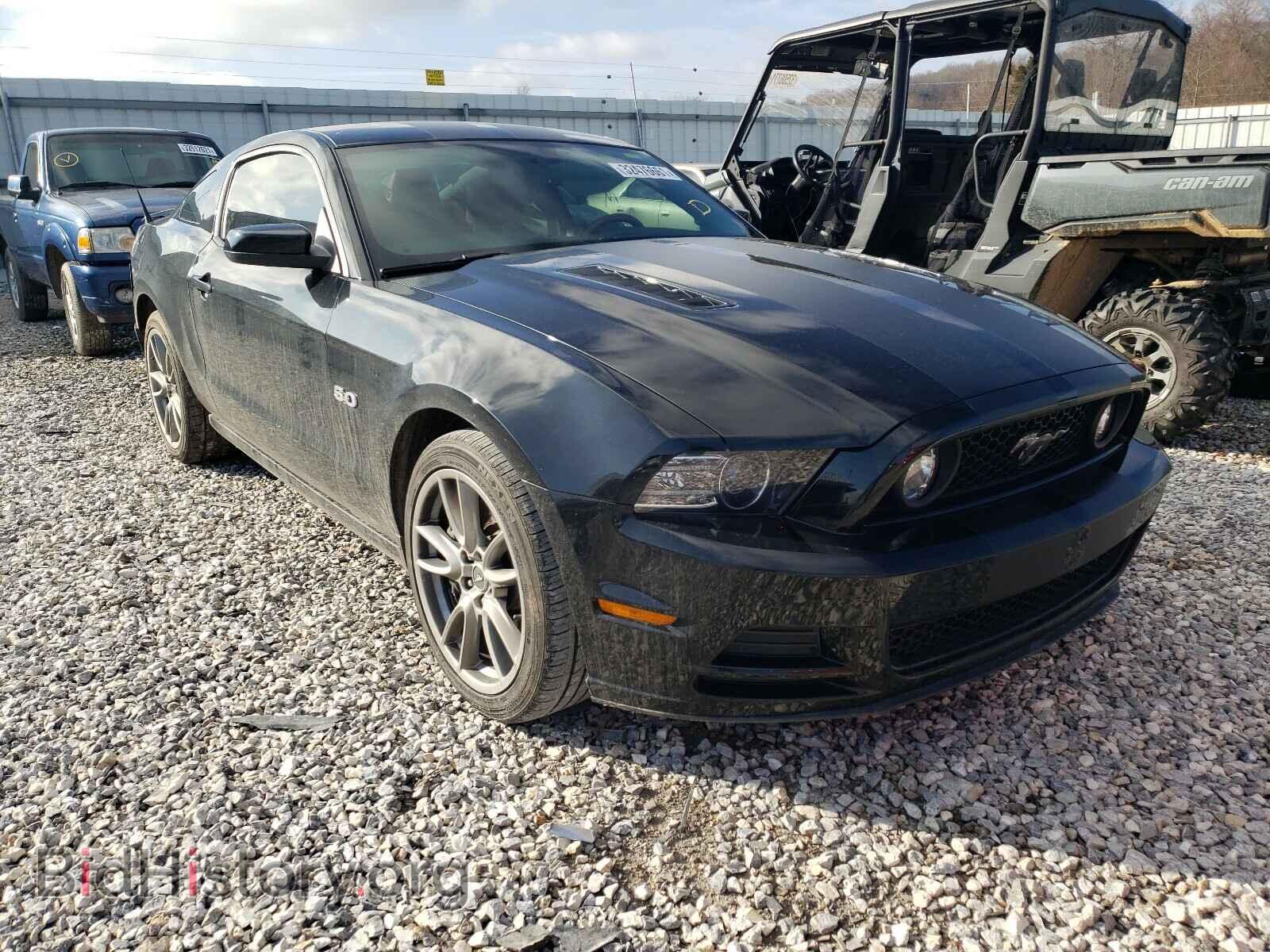 Photo 1ZVBP8CF4D5262094 - FORD MUSTANG 2013