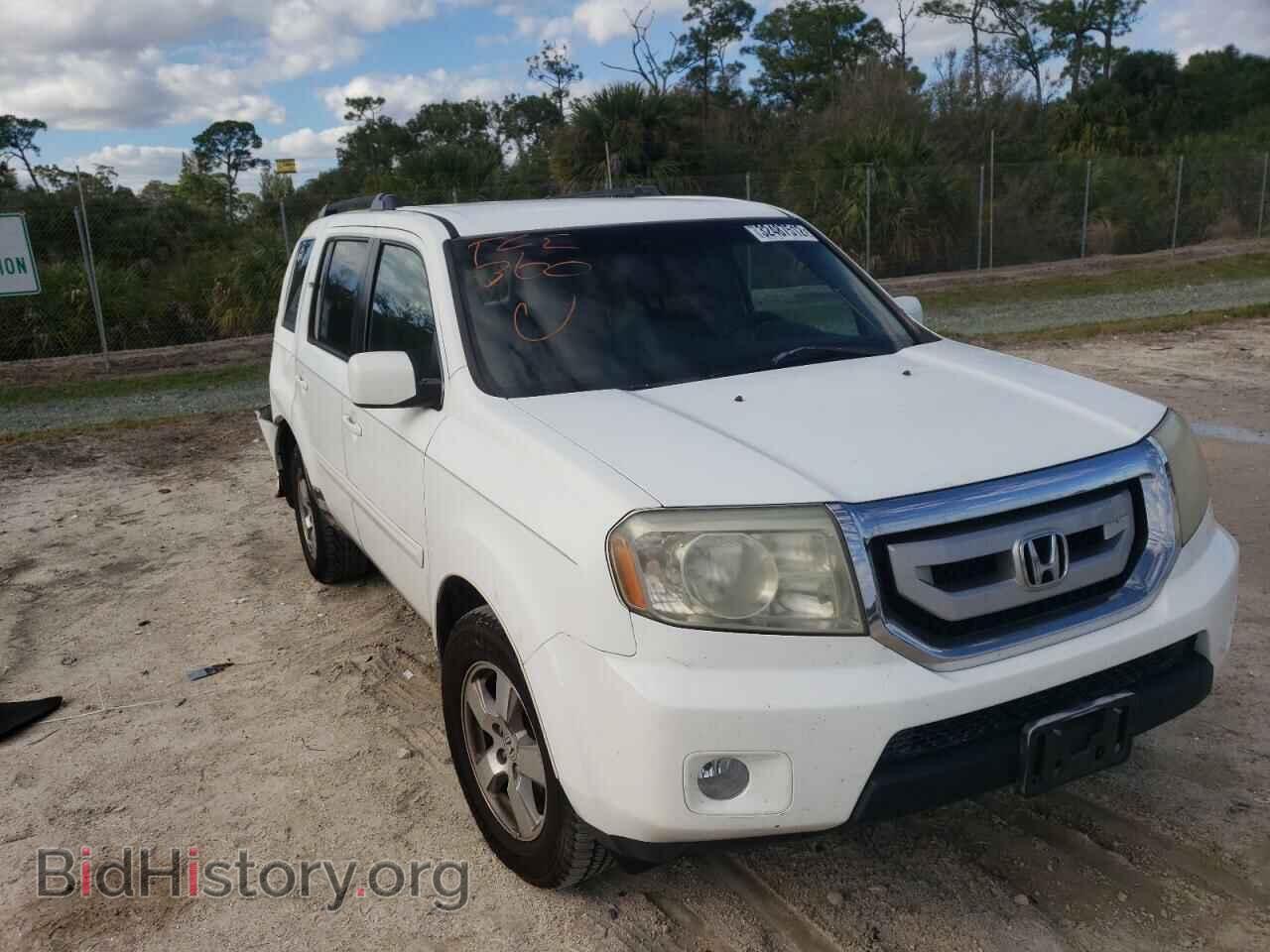 Фотография 5FNYF3H46BB021496 - HONDA PILOT 2011