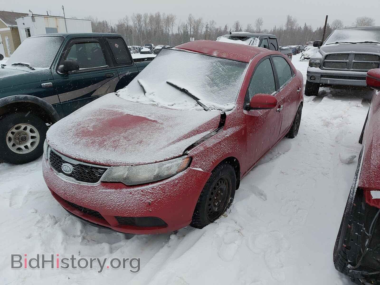2013 KIA FORTE - VIN: KNAFU4A24D5692534 - Фото 2