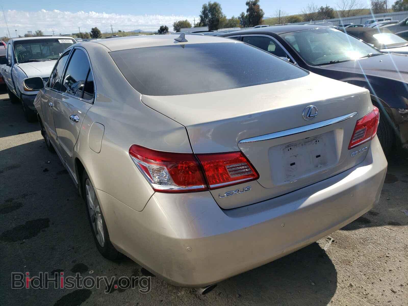 2010 LEXUS ES350 - VIN: JTHBK1EG5A2413292 - Фото 3