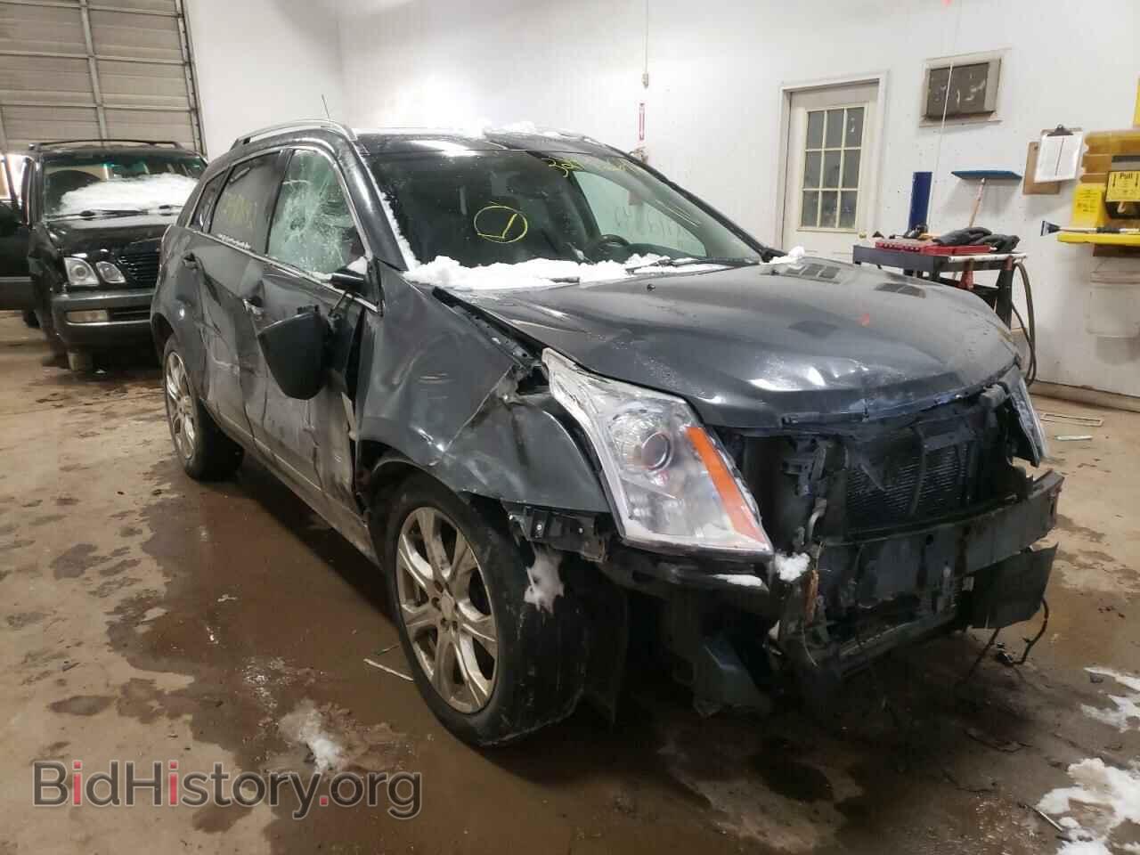 Photo 3GYFNEEY4AS619454 - CADILLAC SRX 2010