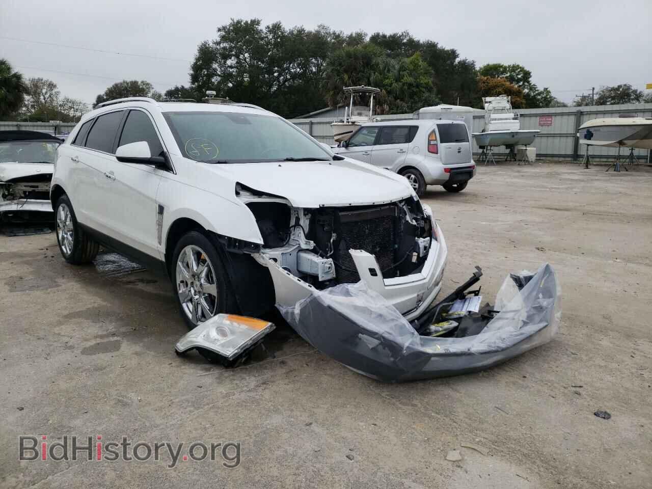 Photo 3GYFNCEY4AS593684 - CADILLAC SRX 2010