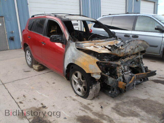 Фотография 2T3BF4DV1CW198401 - TOYOTA RAV4 2012