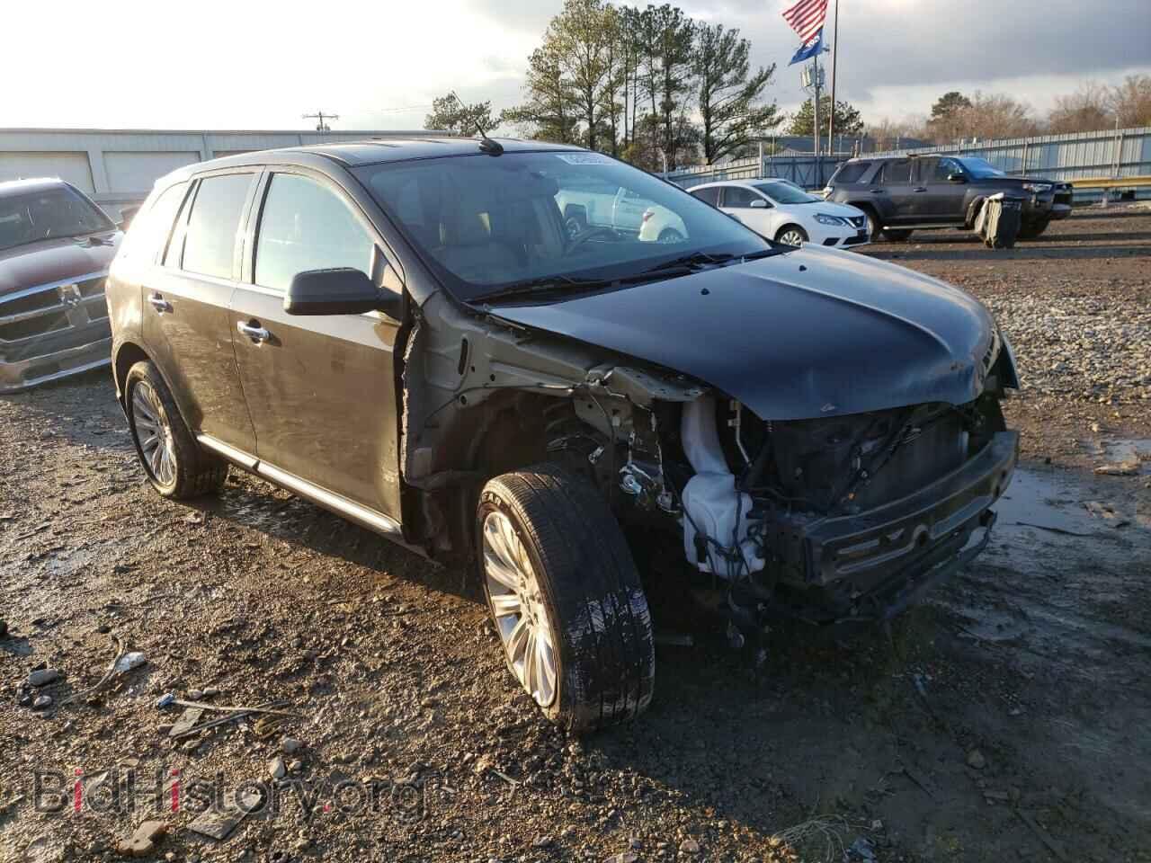 Фотография 2LMDJ6JK1BBJ24670 - LINCOLN MKX 2011