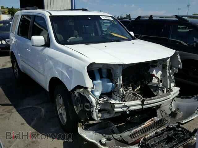 Фотография 5FNYF3H76BB002800 - HONDA PILOT 2011