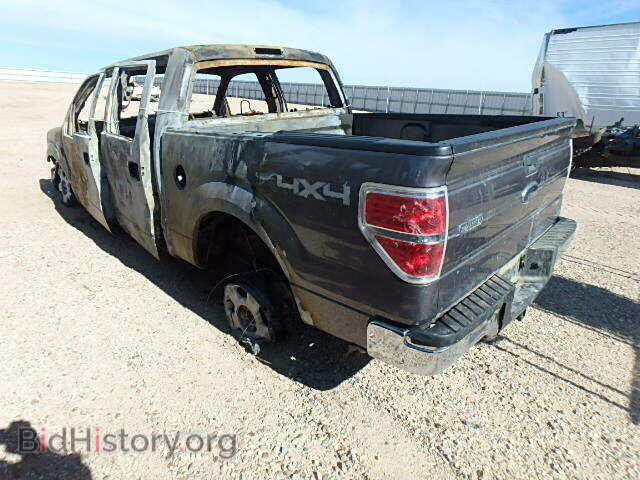 2010 FORD F150 - VIN: 1FTFW1EV0AKE64902 - Фото 3