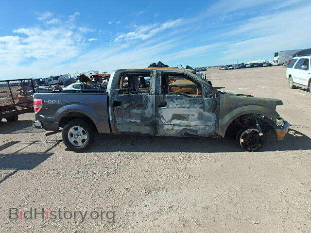 2010 FORD F150 - VIN: 1FTFW1EV0AKE64902 - Фото 10