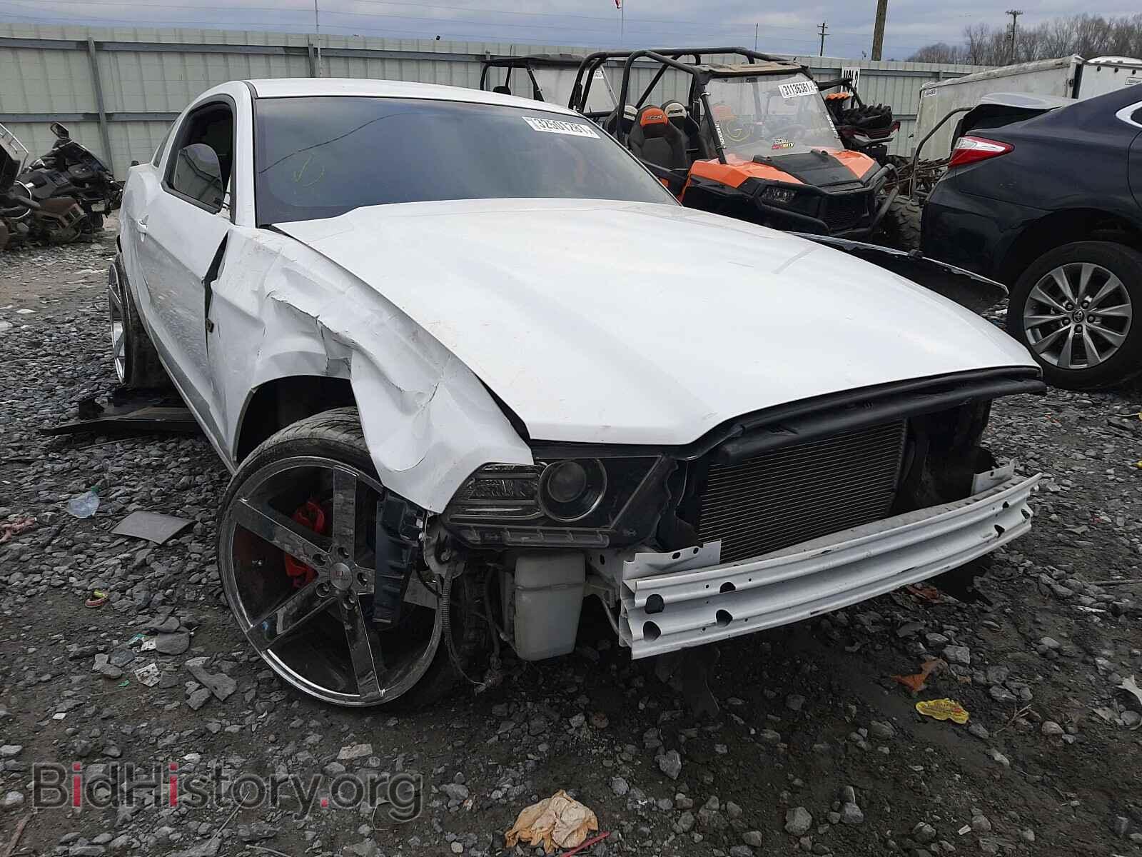 Photo 1ZVBP8AM8E5334160 - FORD MUSTANG 2014