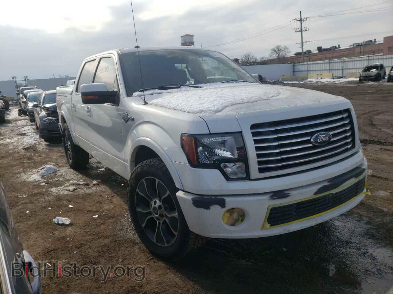 Photo 1FTFW1E68CFA22910 - FORD F-150 2012
