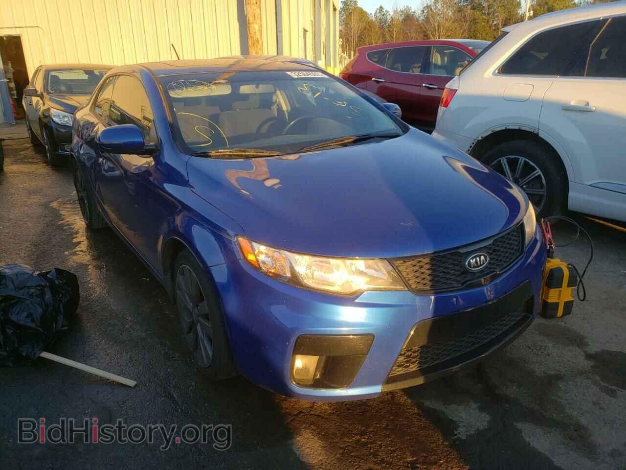 Photo KNAFW6A36D5662174 - KIA FORTE 2013