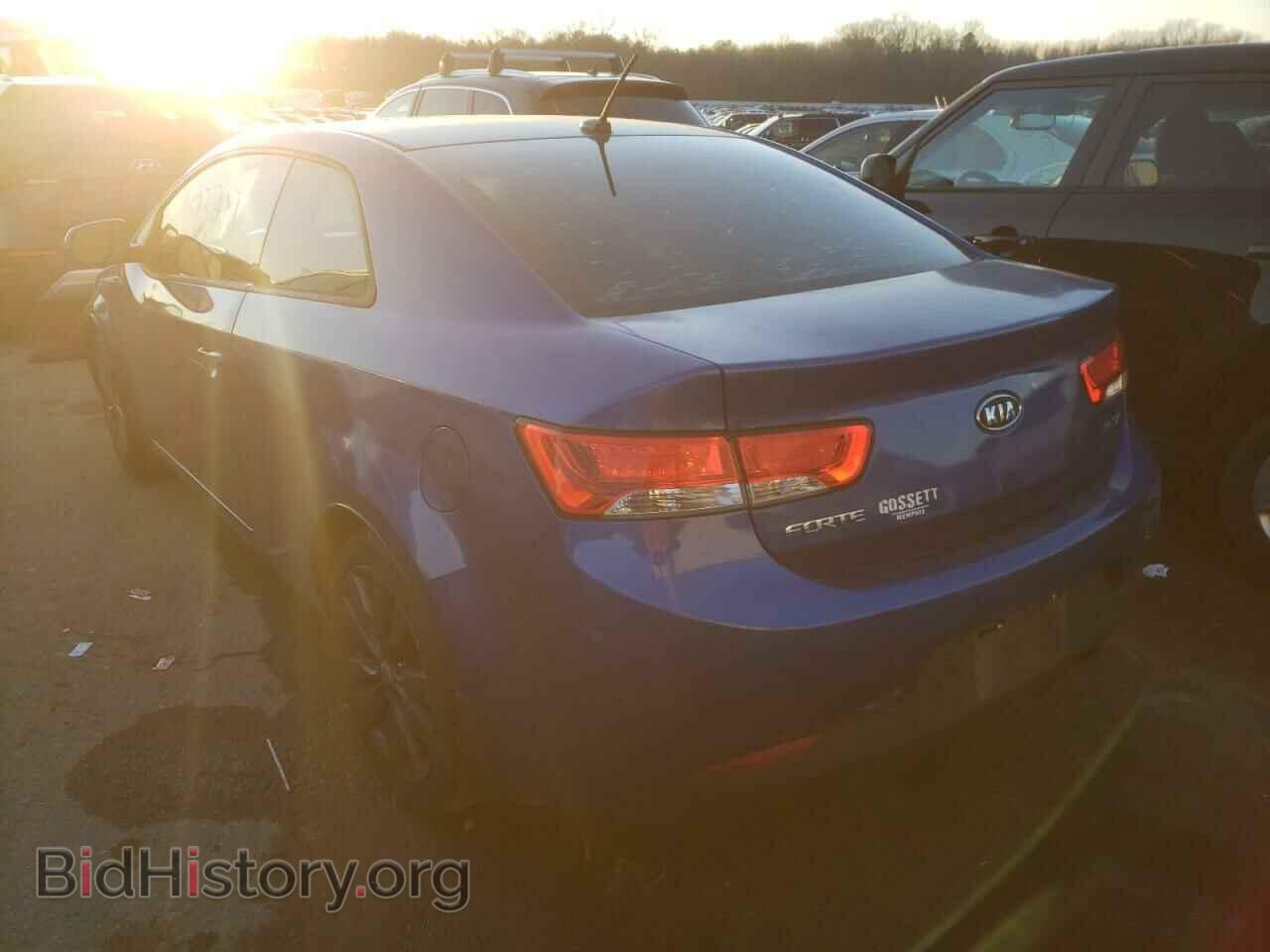2013 KIA FORTE - VIN: KNAFW6A36D5662174 - Фото 3
