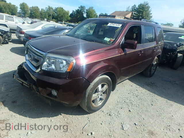 2010 HONDA PILOT - VIN: 5FNYF4H51AB014856 - Фото 2