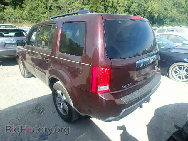 2010 HONDA PILOT - VIN: 5FNYF4H51AB014856 - Фото 3