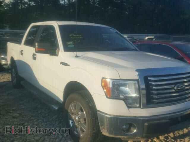 Фотография 1FTFW1CF4CFA99289 - FORD F150 2012