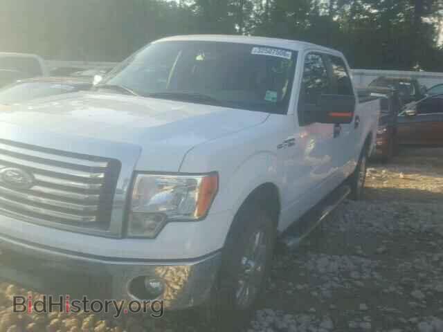 2012 FORD F150 - VIN: 1FTFW1CF4CFA99289 - Фото 2