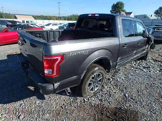 2015 FORD F150 - VIN: 1FTEW1EF2FFB21464 - Фото 4