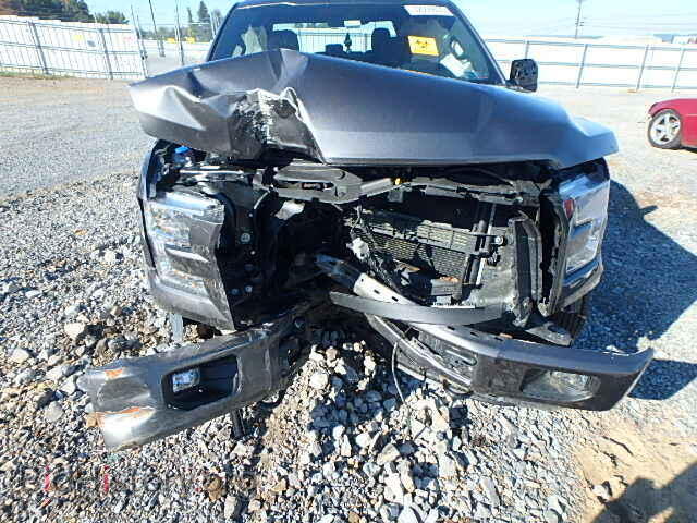 2015 FORD F150 - VIN: 1FTEW1EF2FFB21464 - Фото 7