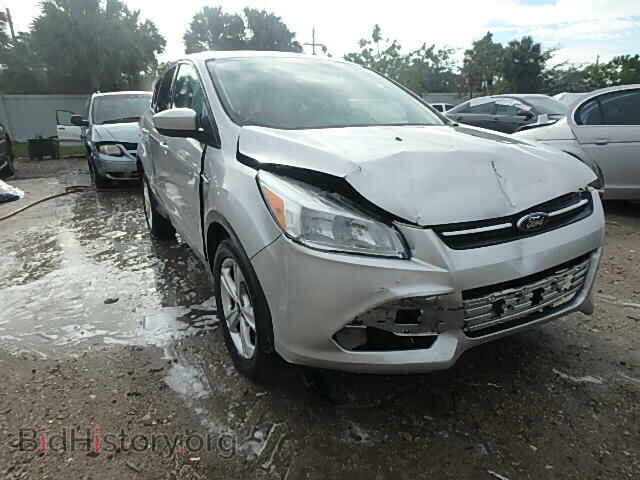 Фотография 1FMCU0GX5DUB13005 - FORD ESCAPE 2013