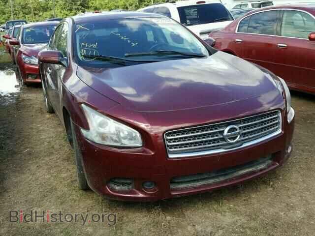 Photo 1N4AA5AP2AC832956 - NISSAN MAXIMA 2010