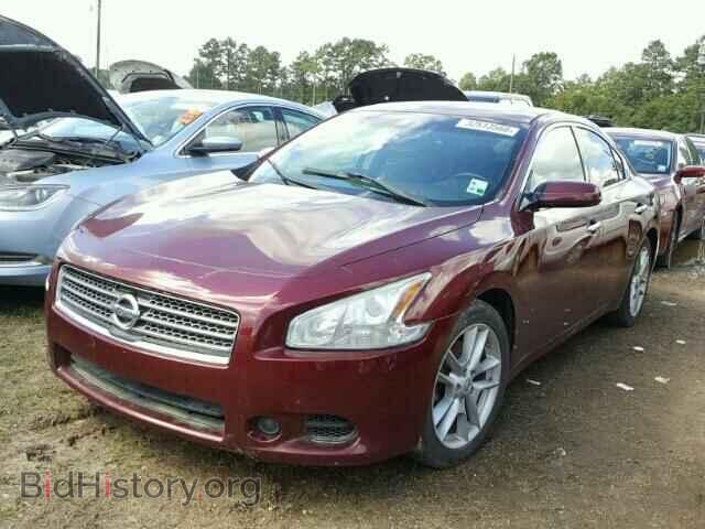 2010 NISSAN MAXIMA - VIN: 1N4AA5AP2AC832956 - Фото 2