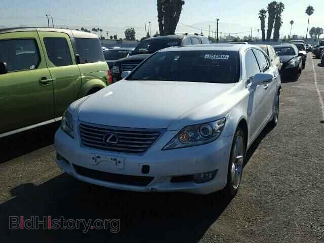 2010 LEXUS LS460 - VIN: JTHBL5EF6A5100522 - Фото 2