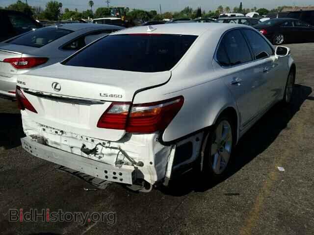 2010 LEXUS LS460 - VIN: JTHBL5EF6A5100522 - Фото 4