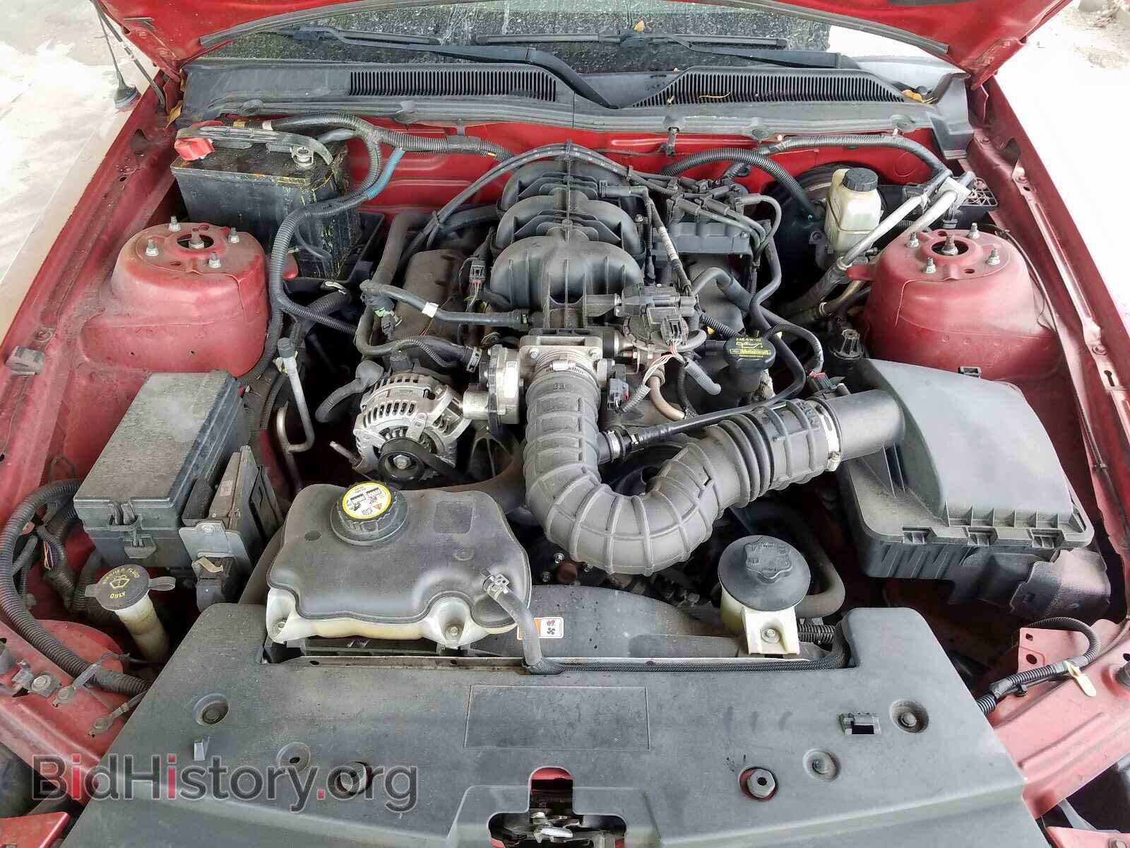 2009 FORD MUSTANG - VIN: 1ZVHT80N795143304 - Фото 7