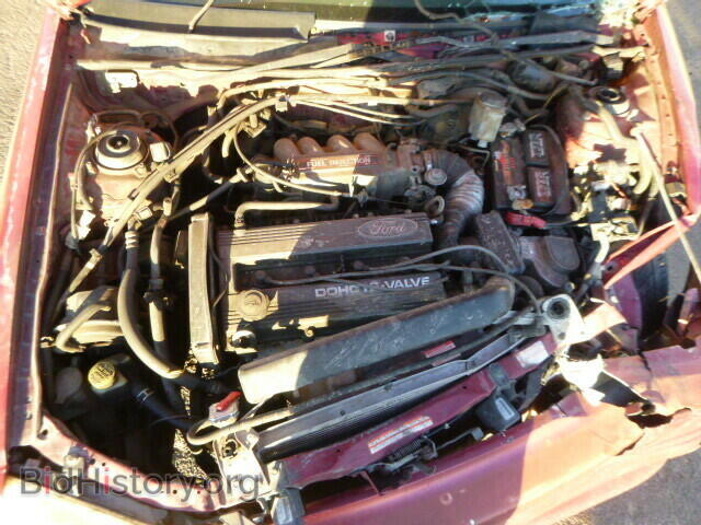1994 FORD ESCORT - VIN: 1FARP1282RW337538 - Фото 7