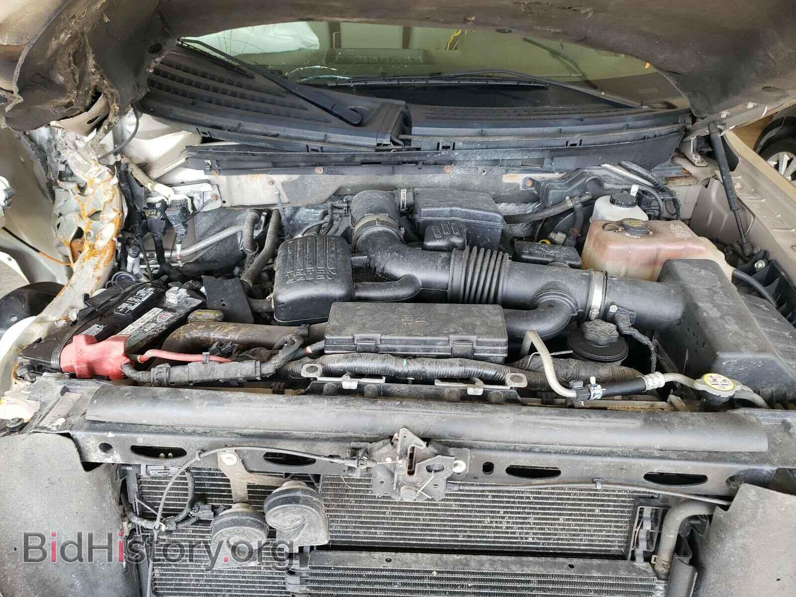 2010 FORD F150 - VIN: 1FTMF1EV7AKB46007 - Фото 7