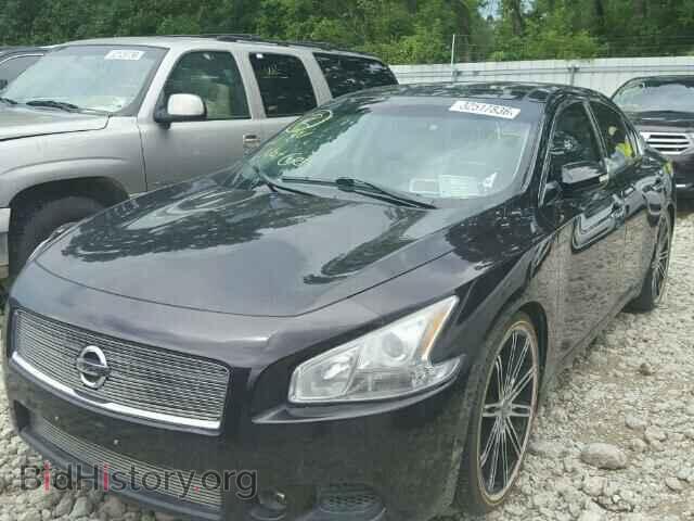 2010 NISSAN MAXIMA - VIN: 1N4AA5AP1AC862045 - Фото 2