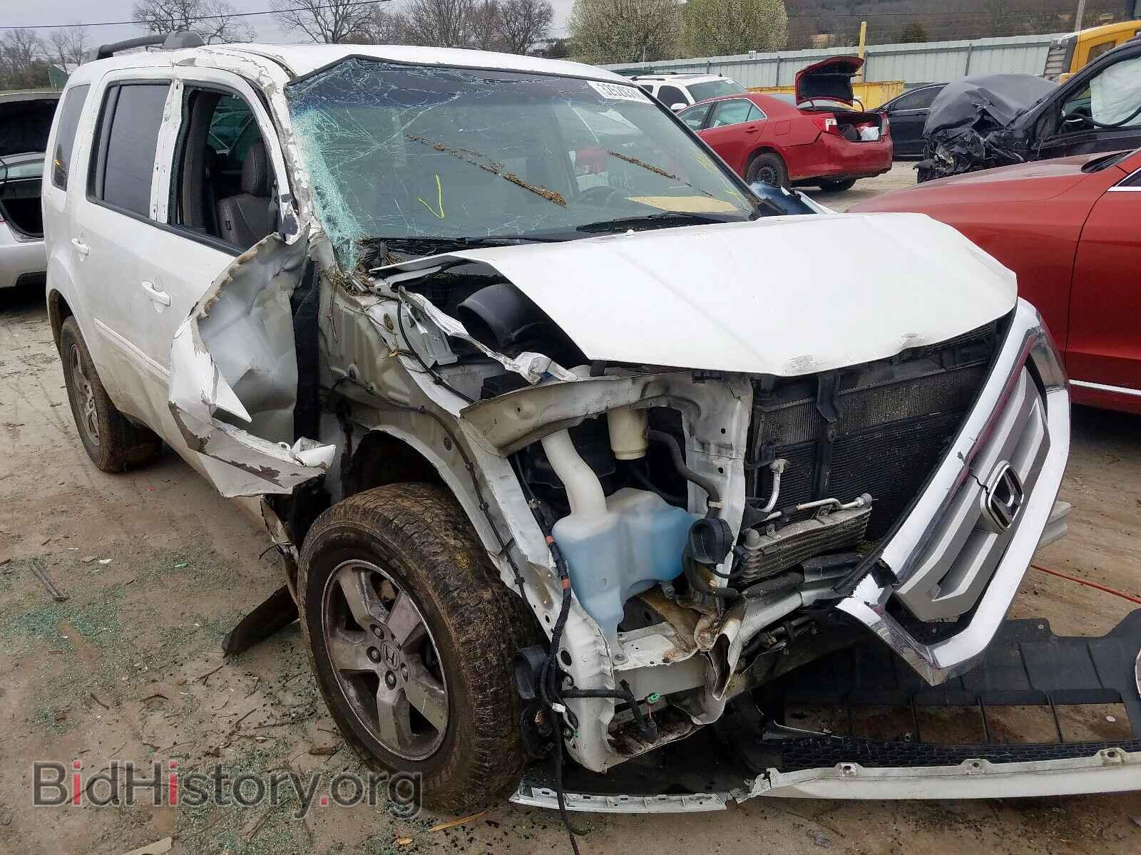 Photo 5FNYF38559B019614 - HONDA PILOT 2009