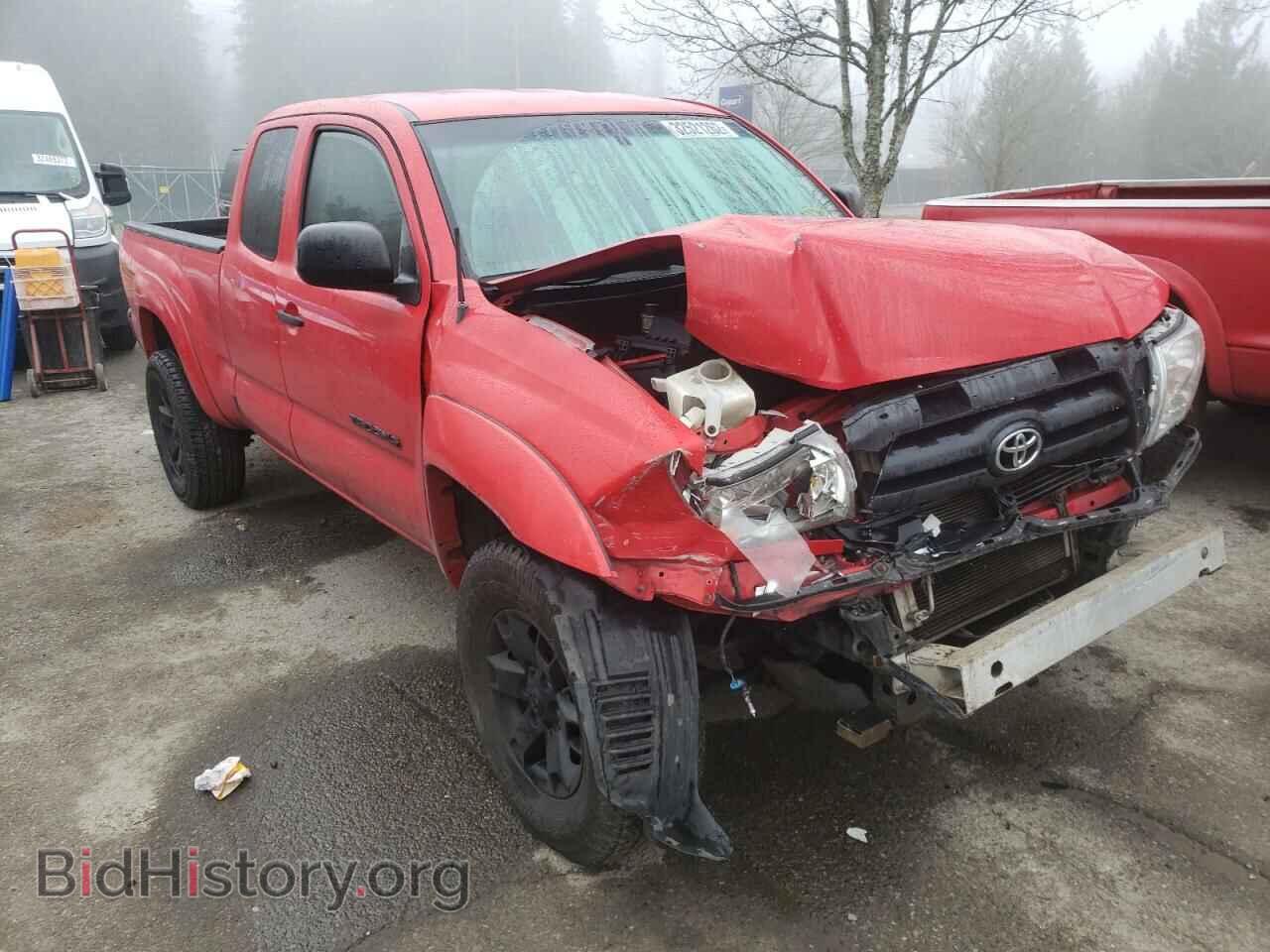 Photo 5TEUU42N78Z587542 - TOYOTA TACOMA 2008