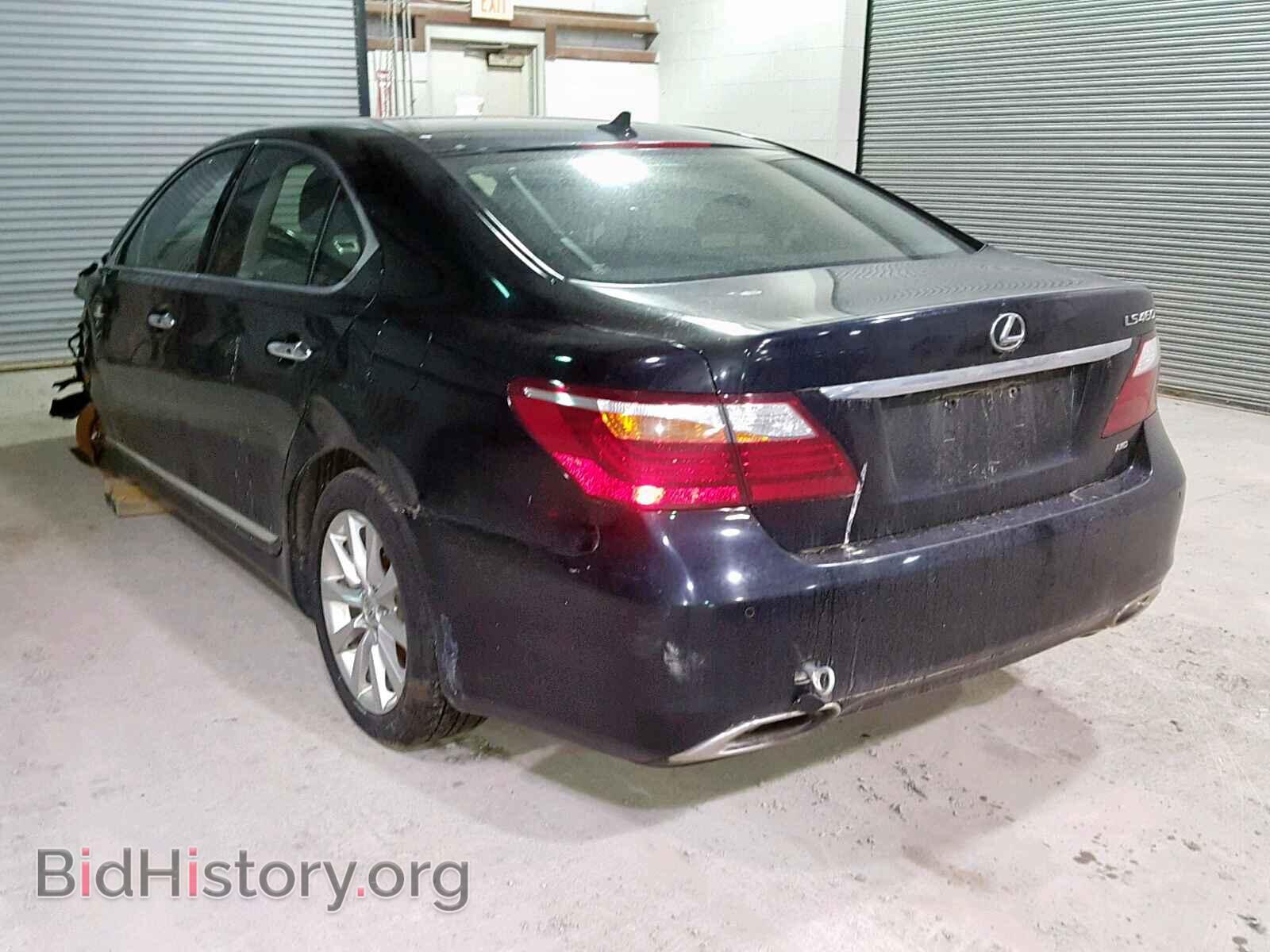2011 LEXUS LS460 - VIN: JTHCL5EF7B5009474 - Фото 3