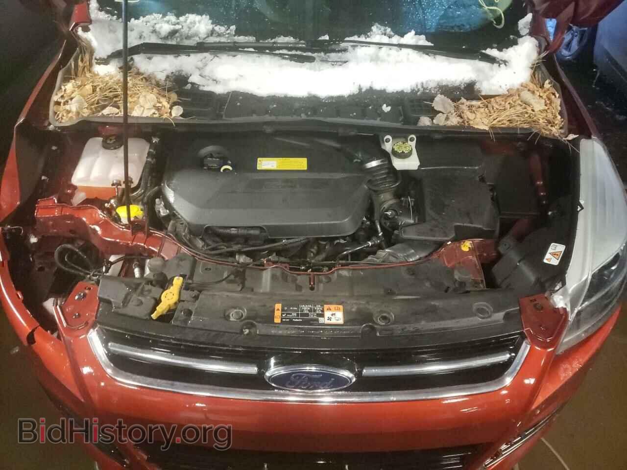 2014 FORD ESCAPE - VIN: 1FMCU0JX2EUC06767 - Фото 7