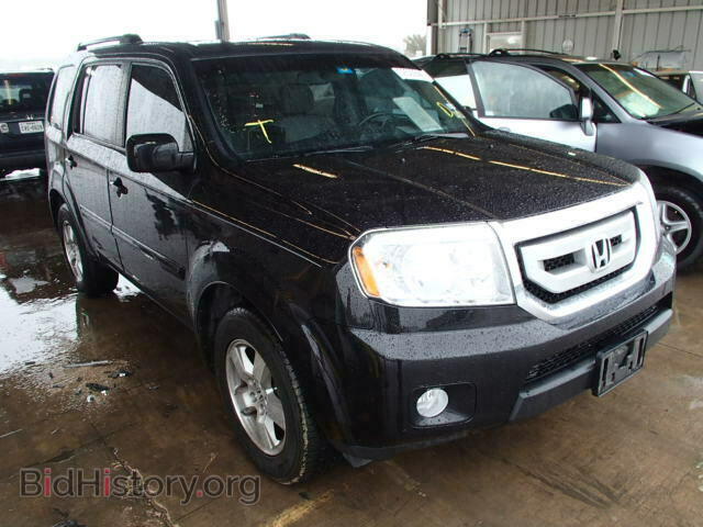 Фотография 5FNYF3H50BB002080 - HONDA PILOT 2011
