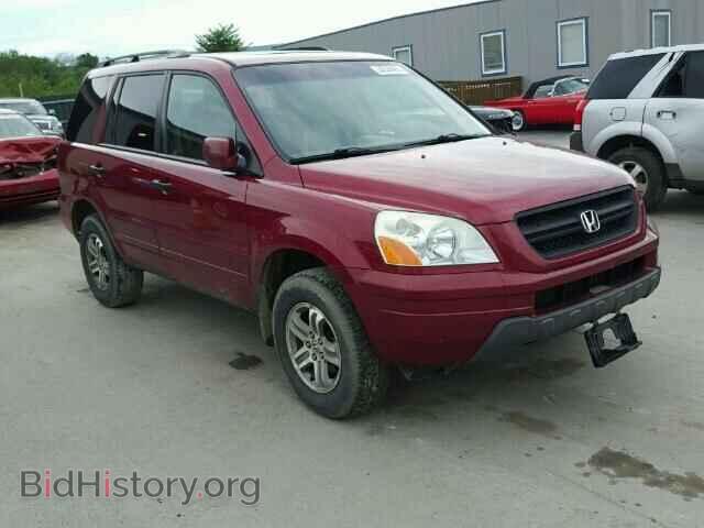 Photo 5FNYF18545B033356 - HONDA PILOT 2005