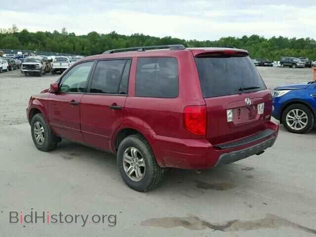 2005 HONDA PILOT - VIN: 5FNYF18545B033356 - Фото 3