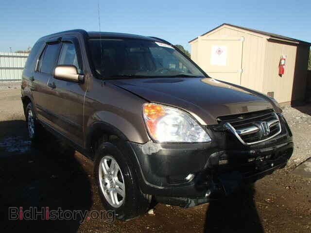 Photo JHLRD78893C045295 - HONDA CRV 2003